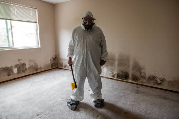 Best Fast Mold Removal  in Verona, MS